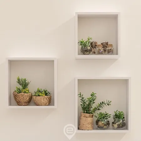 Apartment Tipologia 010